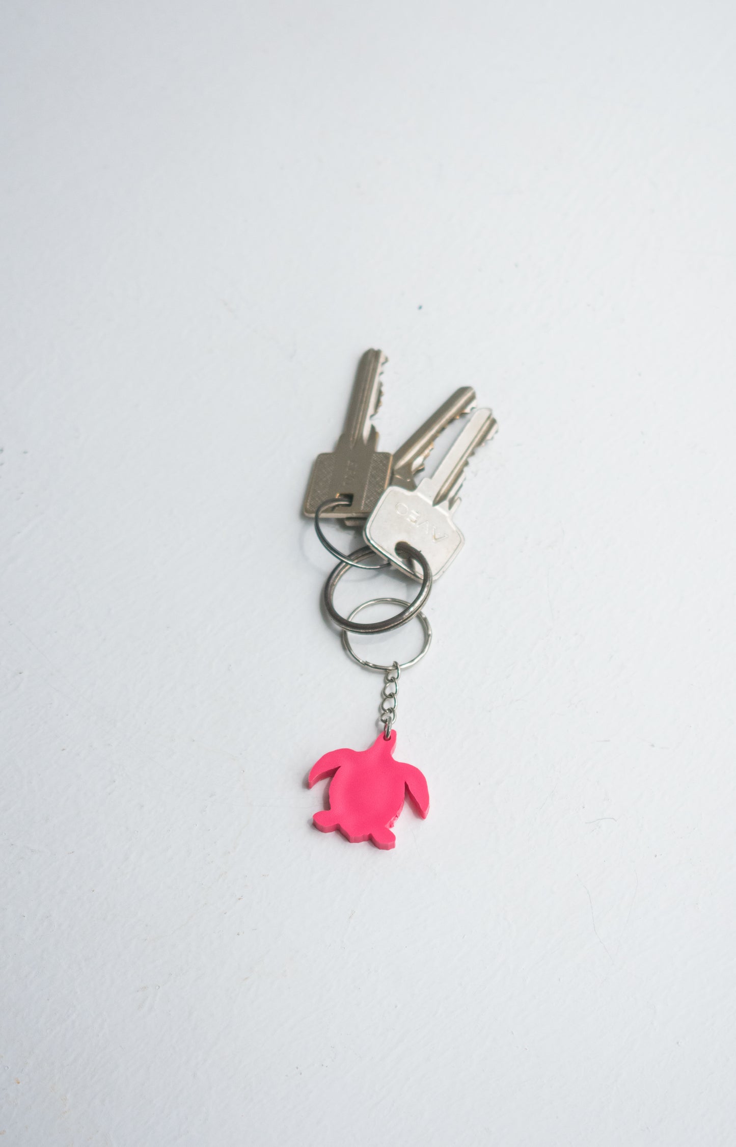 Big Turtle Keychain